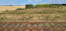 Jest przetarg na rewitalizację polskiego fragmentu trasy Liberec – Zittau!